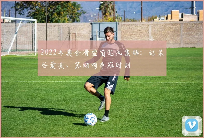 2022冬奥会滑雪简笔画集锦：记录谷爱凌、苏翊鸣夺冠时刻