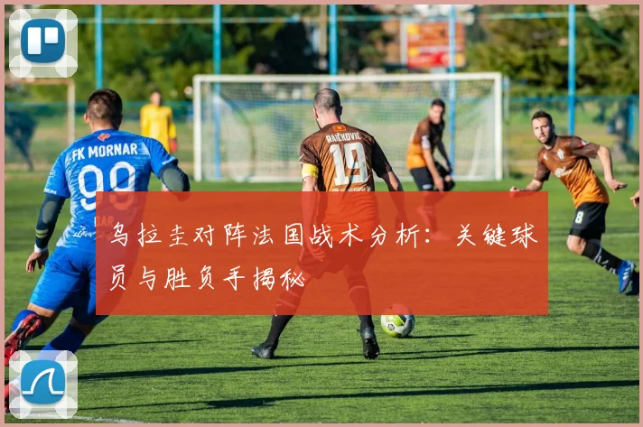 乌拉圭对阵法国战术分析：关键球员与胜负手揭秘