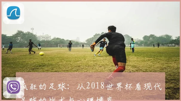疯狂的足球:从2018世界杯看现代足球的战术与心理博弈