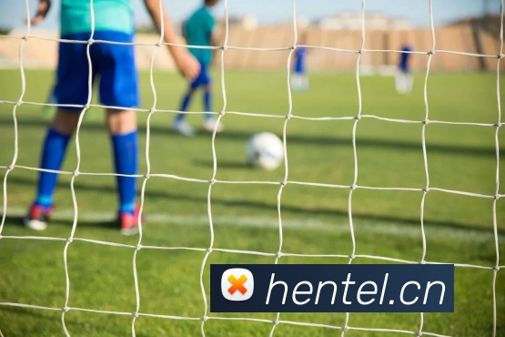 kaiyun.com官网地址品牌故事